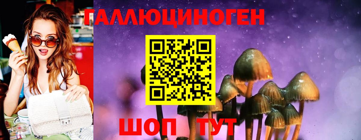 Москва  Галлюциногенные грибы Cubensis  Вход с VPN 